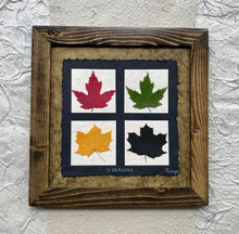 4 seasons pressed maple leaf framed art with green handmade paper and walnut frame