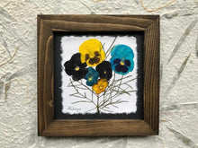 REAL Pressed pansy framed artwork with handmade walnut frame by Pressed Wishes