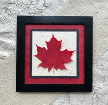 A single pressed maple leaf with red handmade paper and a black handcrafted frame