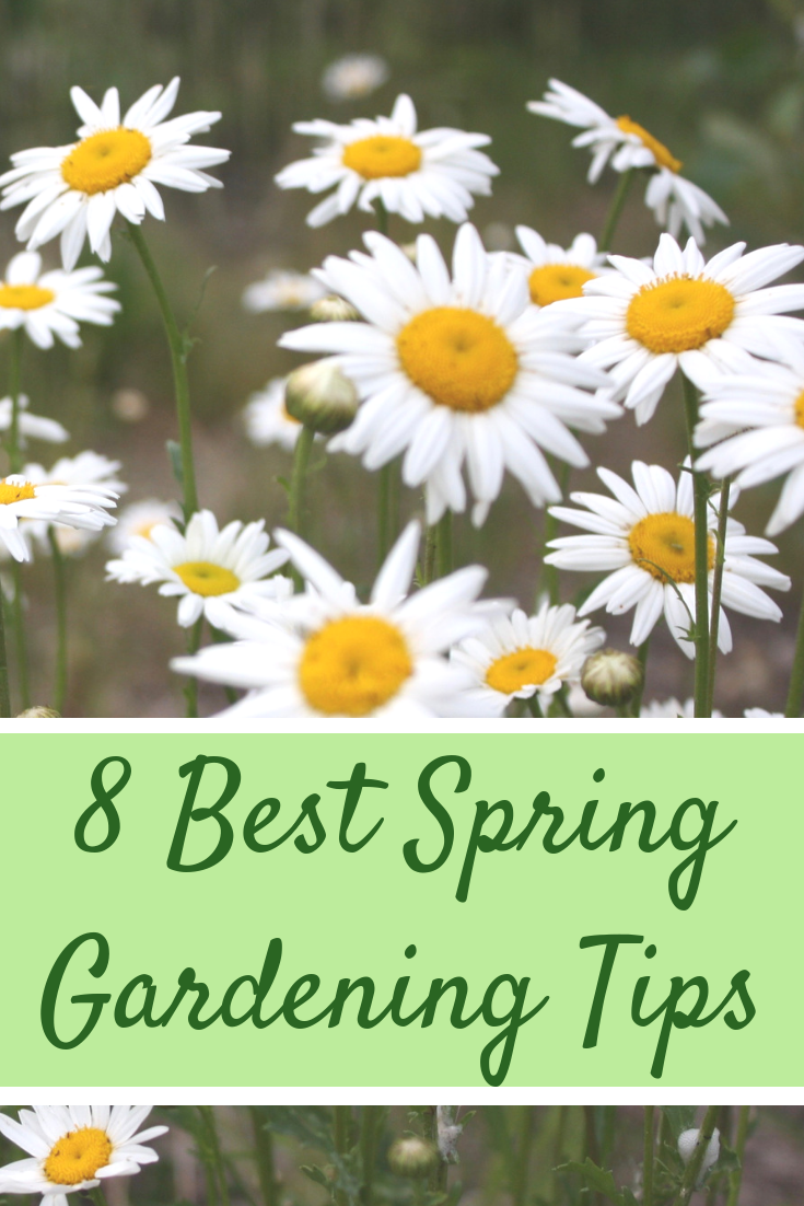 8 Best Spring Gardening Tips from Pressed Wishes