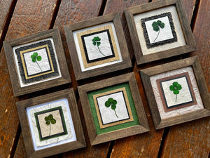 Real Four Leaf Clovers are pressed and placed on top of layers of handmade papers and framed with a solid wood frame. There are 6 different handmade pictures available. Botanical Artwork by Pressed Wishes.