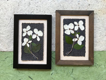 Real Pressed Dogwood Framed Picture by Pressed Wishes, Canadian Artists