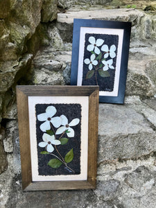 Real Pressed Dogwood Flower Framed Artwork handmade in Canada by Pressed Wishes - Dried Botanical SIGNED ORIGINAL artwork