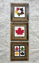 dried maple leaf framed artwork with walnut frame