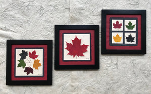 dried maple leaf framed artwork with black frame and red handmade paper