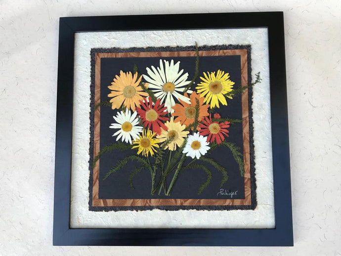 real pressed colourful shasta daisy framed artwork SIGNED ORIGINAL by Pressed Wishes