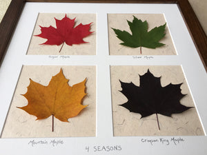 Real pressed maple leaf art framed; dried maple leaf art
