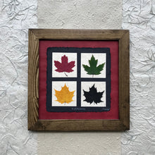 4 seasons pressed maple leaf framed art with red paper and walnut frame