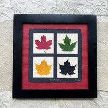 4 seasons pressed maple leaf framed artwork made with red handmade paper