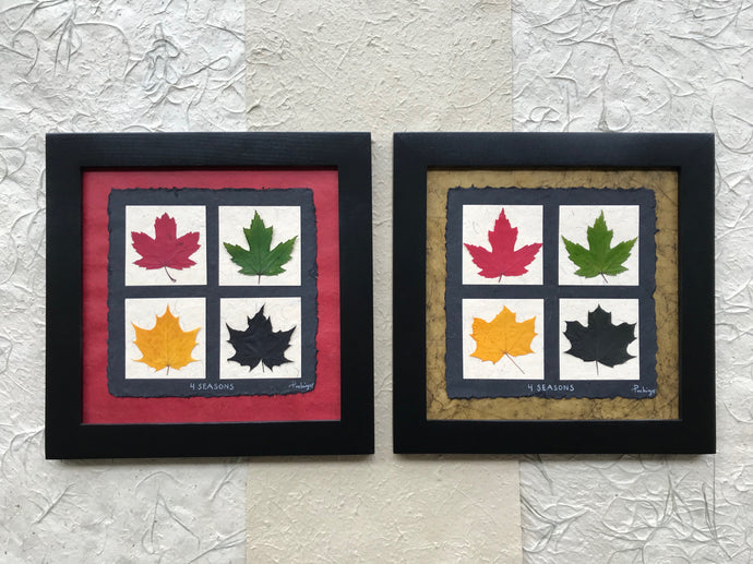 Dried Leaves. 4 seasons; pressed maple leaf artwork available with red or green handmade paper