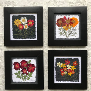 dried flowers; orange and red pressed flower framed artwork 8x8 handcrafted in Canada
