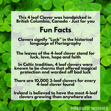Four Leaf Clovers symbolize Luck in Floriography. They are also a very well known leaf, especially in Celtic traditions. 