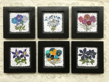 Dried Flowers; purple and blue pressed flower framed artwork 8x8; the art of preserving nature