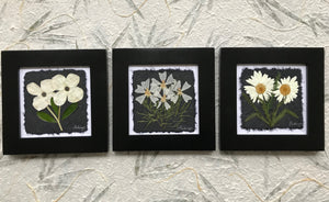 Dried Flowers; Pressed Wishes creates beautiful framed pressed flower artwork
