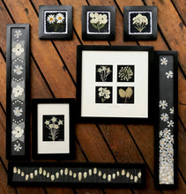 black and white collection by Pressed Wishes; Pressed floral artwork