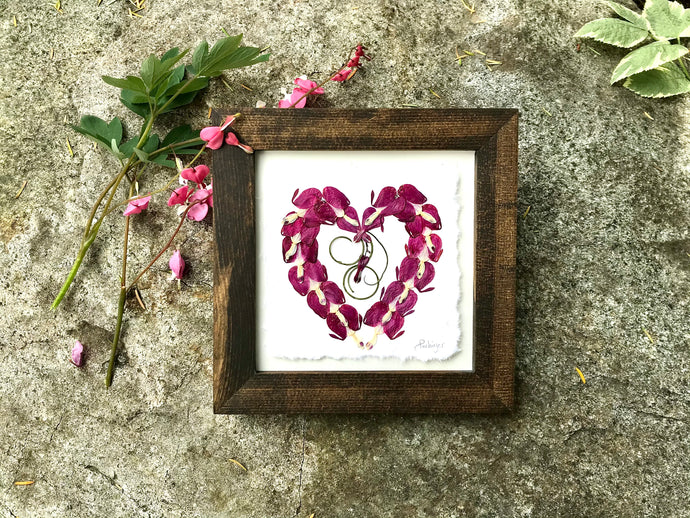 Pressed Bleeding Heart flowers arranged in the shape of a heart in a solid walnut stained frame. Handmade in Canada by Pressed Wishes.