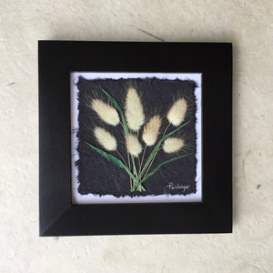 pressed bunny tail art with handmade paper and black frame; dried botanical artwork
