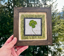 Real Four Leaf Clovers are pressed and placed on top of layers of handmade papers and framed with a solid wood frame. Botanical Artwork by Pressed Wishes.