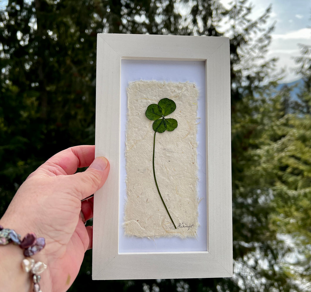 A hand holds a handmade picture containing a real pressed 4 leaf clover on 2 layers of handmade paper and framed with a solid wood white frame. Artwork is by Pressed Wishes. 