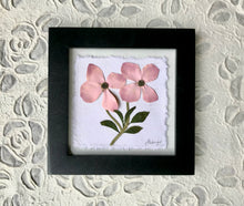 Pink dogwood flowers have been pressed and set against white handmade paper, and framed with a solid wood frame finished with black lacquer. Artwork by Pressed Wishes 