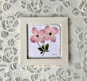 Two pink dogwood flowers are pressed and set on white handmade papers. They are framed with a solid wood handcrafted frame, finished with a white linen stain. Pictures come with 2ml glass. Artwork by Pressed Wishes, Canadian botanical artists.