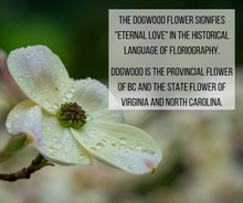 Dogwood flower signifies "eternal love" in the historical language of floriography. 