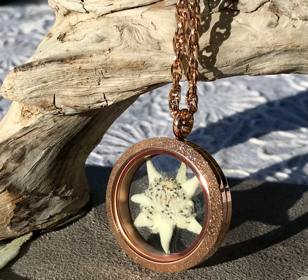 A circle terrarium locket contains a real pressed white Edelweiss flower. The terrarium locket is made of glass and stainless steel with a rose gold finish. This real pressed botanical necklace is handmade by Pressed Wishes. 