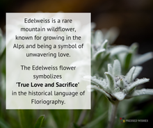 Edelweiss Diamond Locket