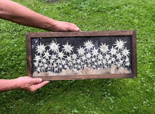 Edelweiss Panoramic 10x22
