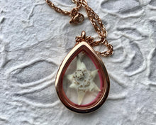A white edelweiss flower is pressed and preserved in a rose gold and glass terrarium locket necklace. The locket is laying on white handmade paper.Handmade by Pressed wishes.