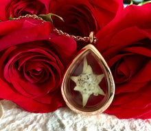 A white edelweiss flower is inside a rose gold locket. The locket is see-through. The locket is set against a bunch of red roses. The locket is handmade by Pressed Wishes