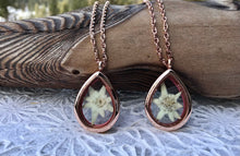 two lockets made of rose gold and glass are standing against a piece of driftwood. Inside the lockets are real pressed white edelweiss flowers. The edelweiss lockets are available for sale, they are handmade by Pressed Wishes. 