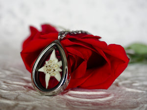 A single white edelweiss is preserved in a glass terrarium locket. The locket is made of stainless steel and glass. The locket is placed against a fresh red rose to symbolize love. This item is handmade by Pressed Wishes. 