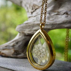 A golden teardrop locket stands by a piece of driftwood. The locket is see-through and is made of a gold metal and glass. Inside the locket is a white edelweiss that is preserved and placed inside. The background is a lush and green forest that is blurred out. The locket pendant is handmade by Pressed Wishes. 