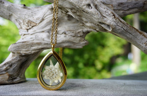 Real Pressed Edelweiss locket - gold plated stainless steel and glass locket by Pressed Wishes