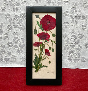 real pressed flanders field poppy framed artwork with black frame