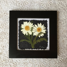 Dried Daisy Picture made with pressed shasta daisy