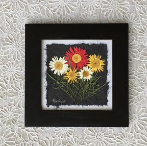 pressed flower artwork; Pressed multi colour daisy