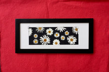 black and white real pressed daisy picture