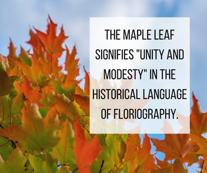 Maple Leaf Floriography Meaning - Pressed Wishes