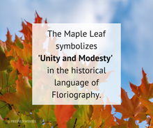 The Maple Leaf symbolizes 'Unity and Modesty' in the historical language of Floriography.