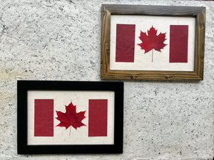 pressed maple leaf framed art in Canadian flag; made with handmade paper