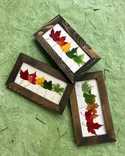 Mini Rainbow Maple 6x10 Picture - Real Pressed Maple Leaves made by Pressed Wishes - 