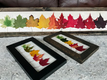 Mini Rainbow Maple 6x10 Picture - Real Pressed Maple Leaves made by Pressed Wishes - Size Comparison with Skinny Picture