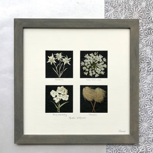 mountain wildflower 4 square with edelweiss queen annes lace dogwood and anemone