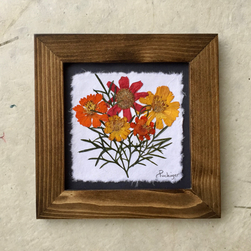 Dried Flowers; pressed orange cosmos art_pressed flower art 