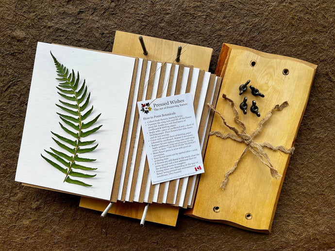 A one of a kind flower press is taken apart and displayed to see all the working parts. The flower press contains birch wood, herbarium blotting paper, corrugated cardboard, wingnuts and an instruction manual. Handmade by Pressed Wishes. 