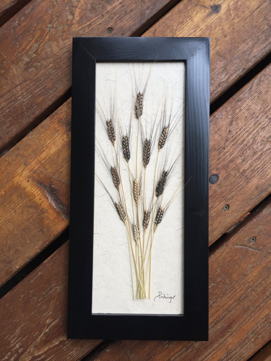 pressed ancient einkorn wheat black frame