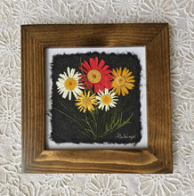 Dried Daisy; pressed botanical art; multicolor daisy framed artwork