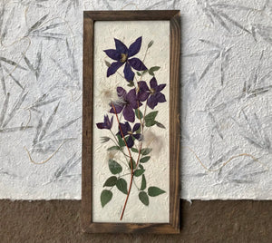 A pressed clematis stock and purple clematis flowers are arranged on white handmade paper and framed with a brown handmade frame. The pressed botanical picture is 10x22 inches and is a handmade item by floral artist, Pressed Wishes
